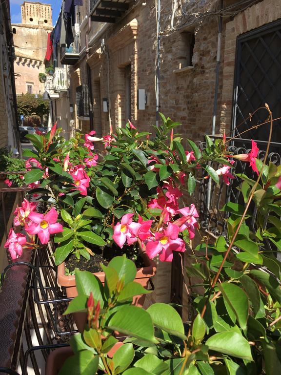 Guest House Dimora Fiorita Serracapriola Exterior photo